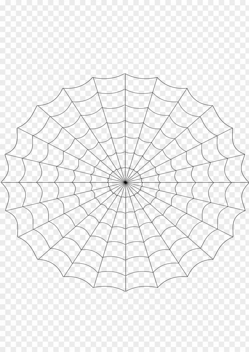 Spiderweb Pattern Point Leaf Angle Symmetry PNG