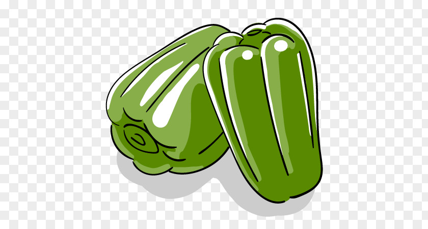 Vegetable Illustration Bell Pepper Chili Food PNG