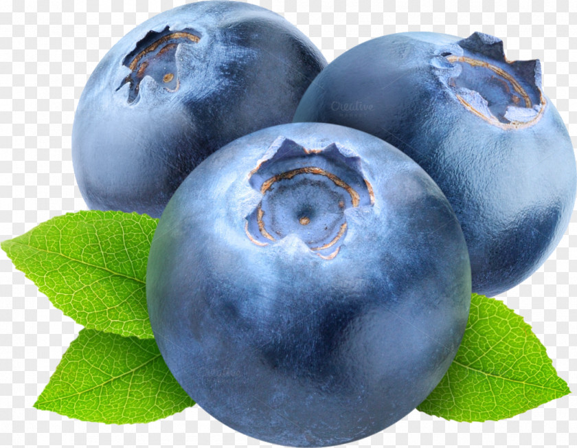 Blueberry American Muffins Tea Pie European PNG