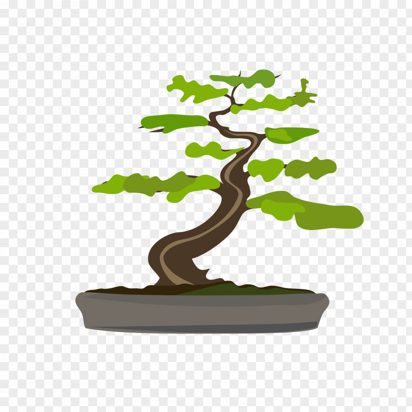 Bonsai Tree Flowerpot Sageretia Theezans Clip Art PNG