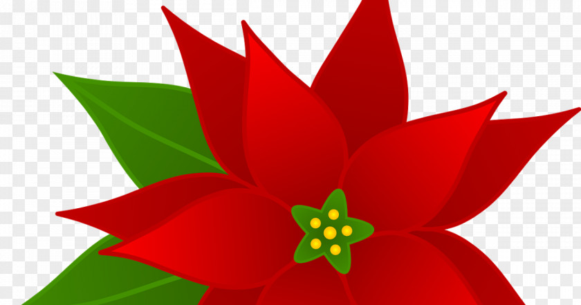 Christmas Poinsettia Clip Art PNG