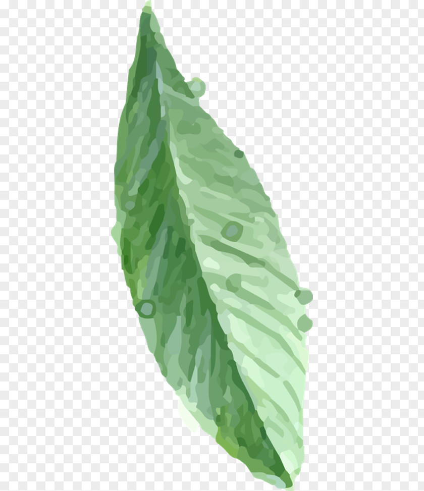 Leaf ArtWorks PNG