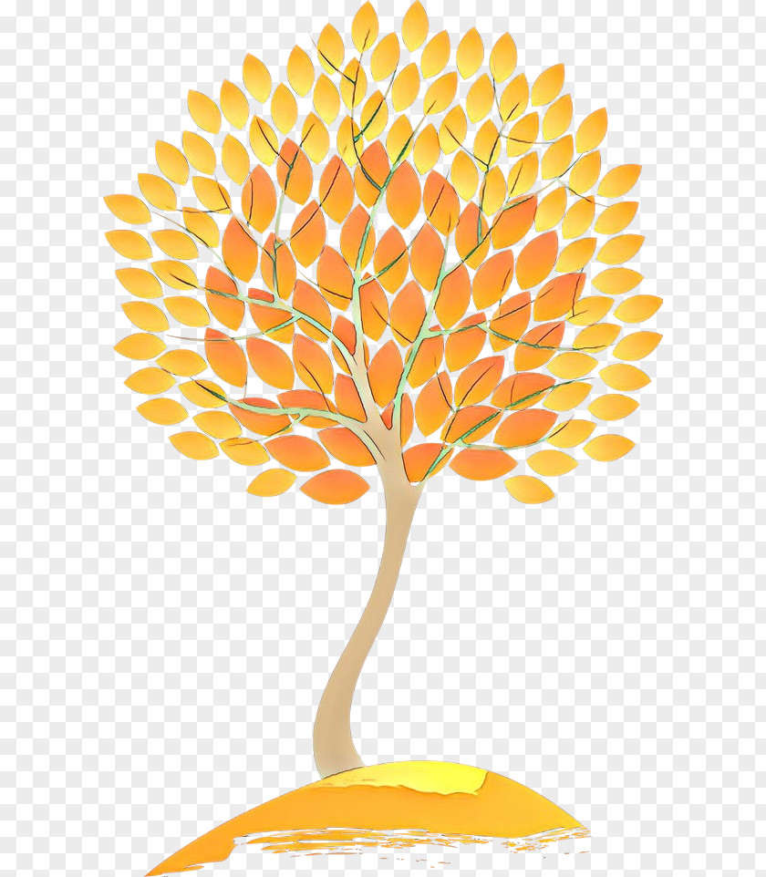 Orange PNG