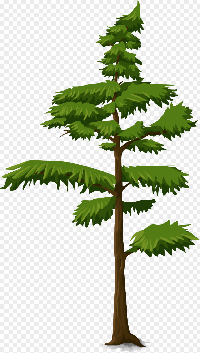 Tree Vector Trunk Three-dimensional Space Fir PNG