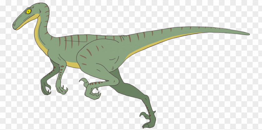 Dinosaur Velociraptor Troodon Tyrannosaurus Gobivenator Paleoart PNG