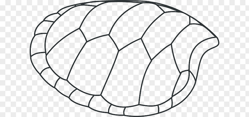 Green Shells Turtle Shell Drawing Clip Art PNG