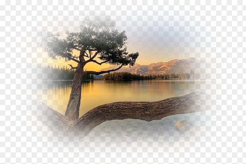 MANZARA Desktop Wallpaper Display Resolution Jasper Lake PNG