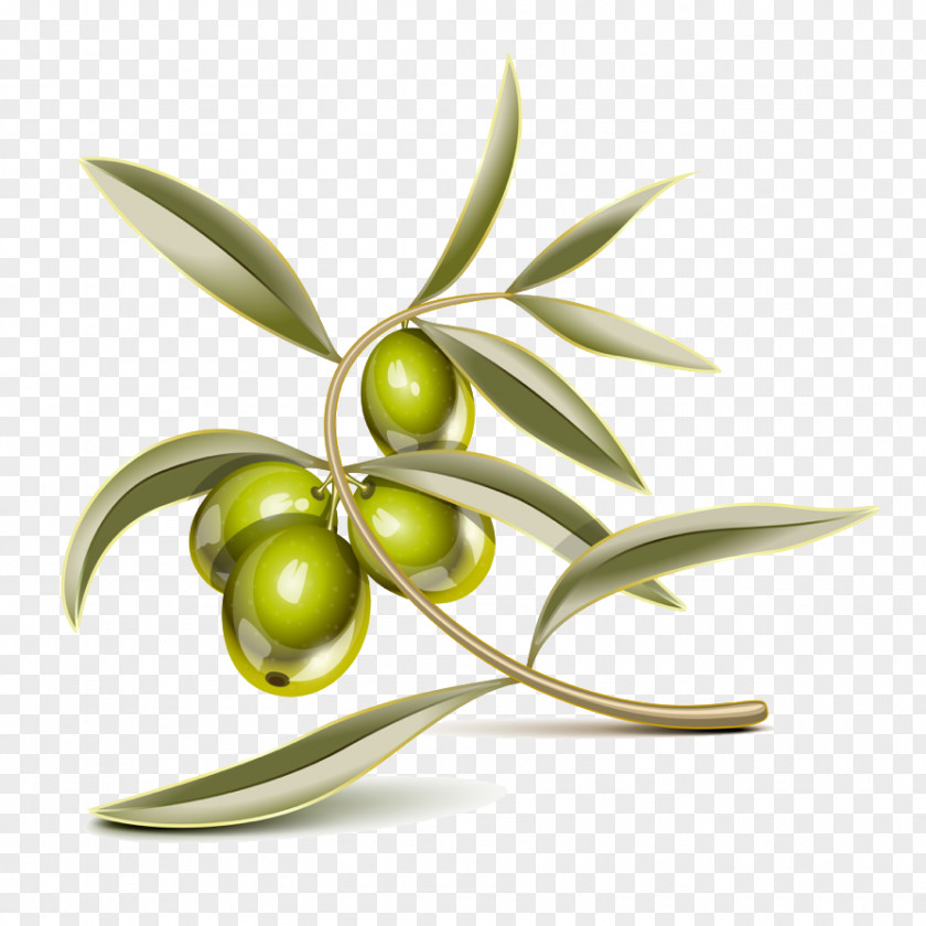Olive Leaf Bresaola Focaccia PNG