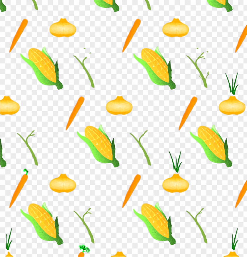 Plant Stem Leaf Yellow Pattern Meter PNG