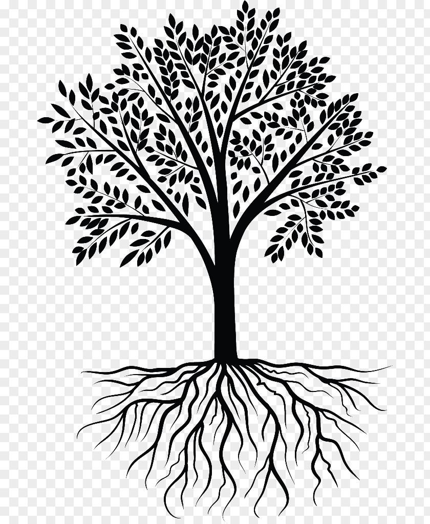 Tree Vector Wall Decal PNG