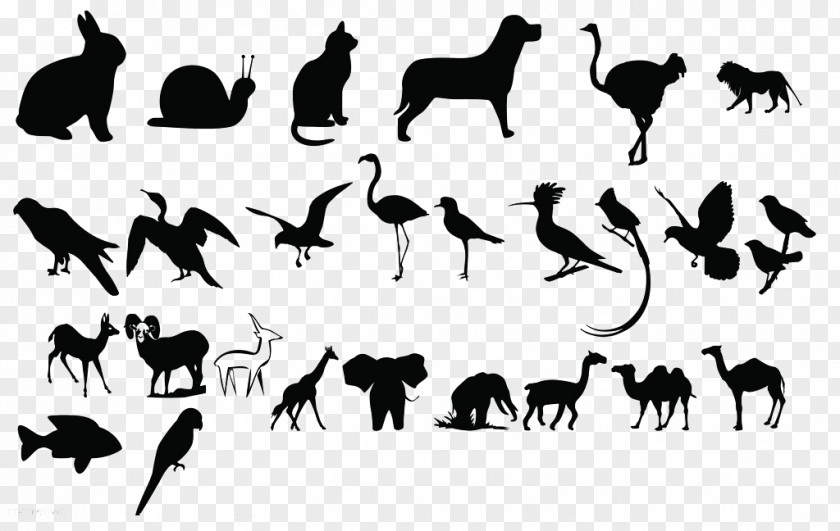 Animal Silhouettes Black And White Poster PNG