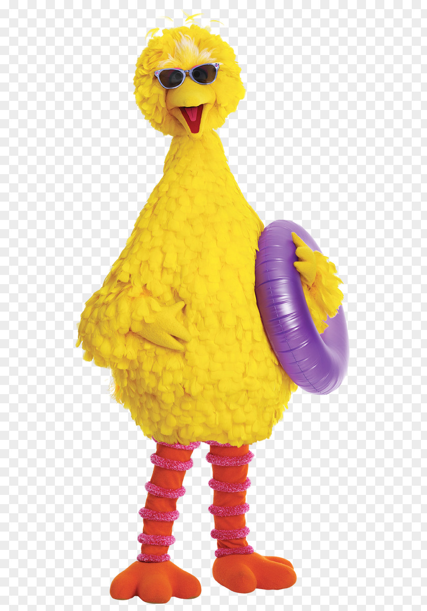 Big Bird Bert The Muppets Children's Television Series Show PNG