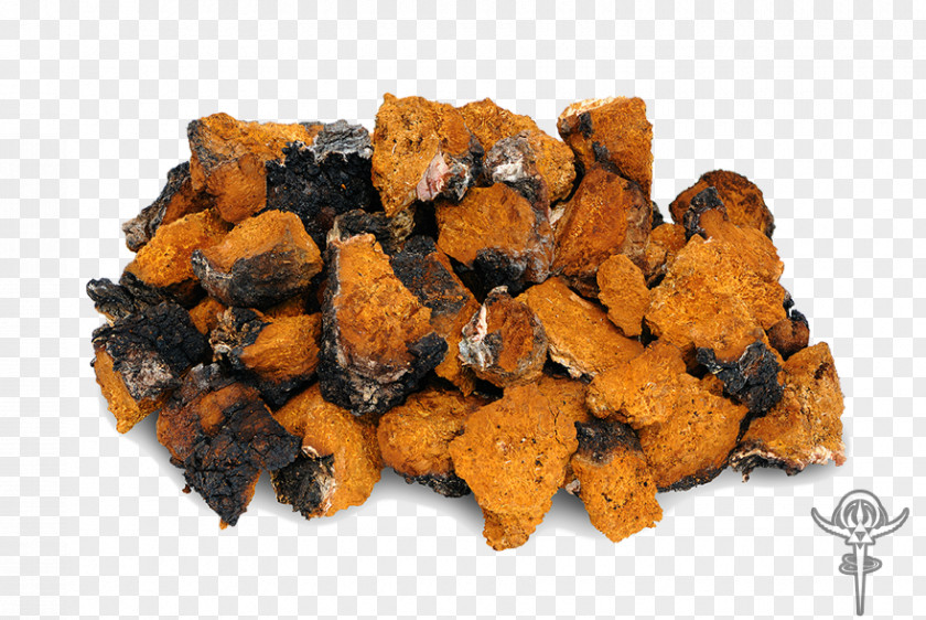 Bitter Melon Tea Chaga Mushroom Edible Oxygen Radical Absorbance Capacity Birch PNG