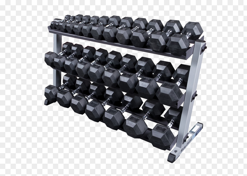 Dumbbell Fitness Centre Strength Training Barbell Weight PNG