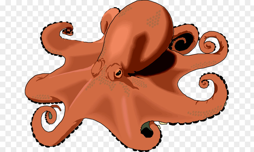 Octo Cliparts Octopus Free Content Clip Art PNG