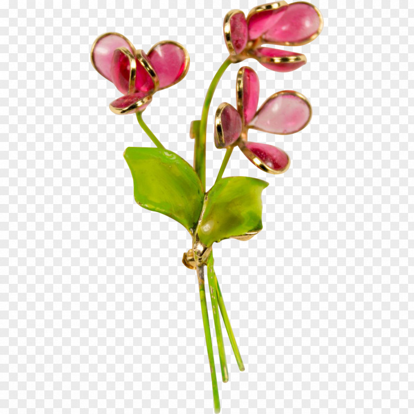 Embroidering Moth Orchids Cut Flowers Bud Plant Stem Body Jewellery PNG