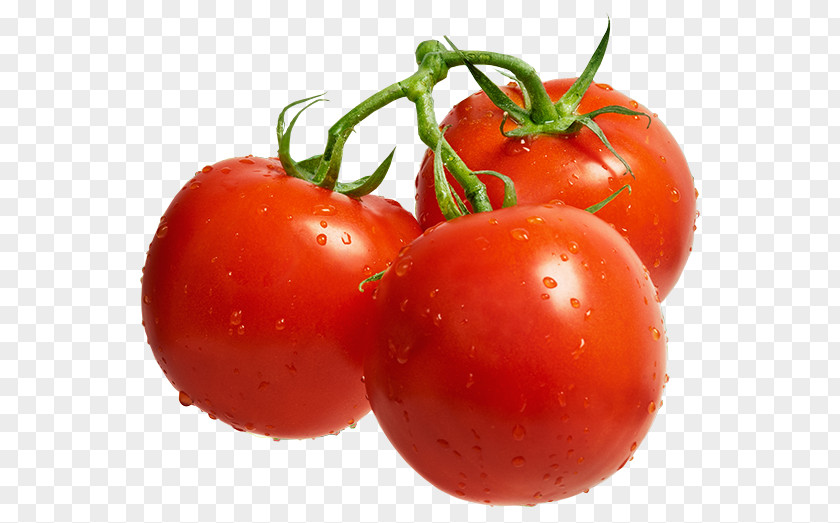 Fresh Tomatoes Cherry Tomato Lecsxf3 Cultivar Auglis Fruit PNG