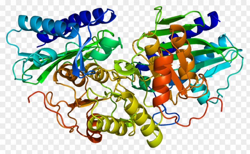 Inositol Monophosphatase 1 Lithium 2 PNG