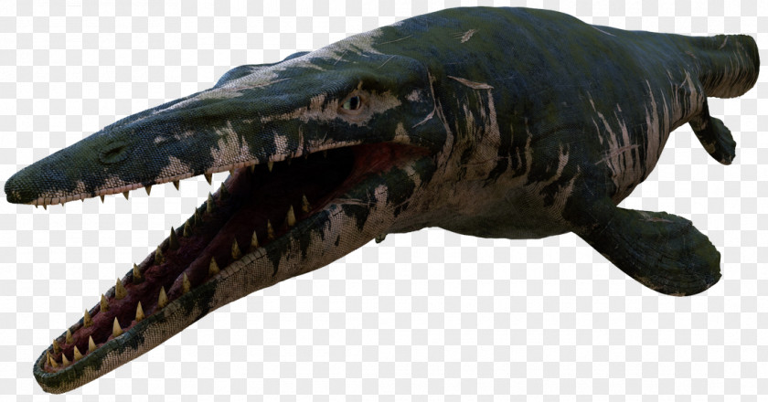 Jurassic World Tylosaurus Mosasaurus Utahraptor Dallasaurus Carnotaurus PNG