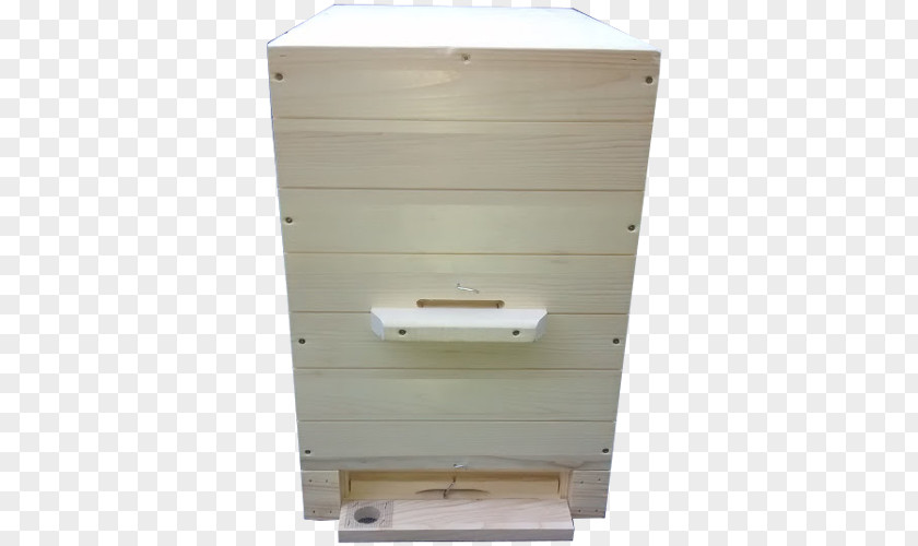 Bee Beekeeping Project PNG