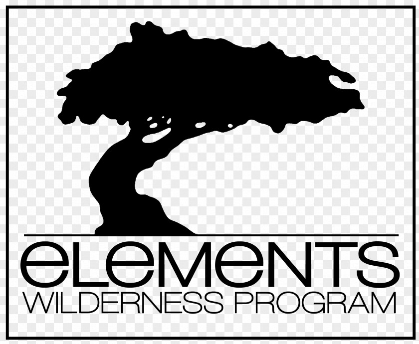 Behavioral Therapy Elements Wilderness Program Child Adolescence PNG