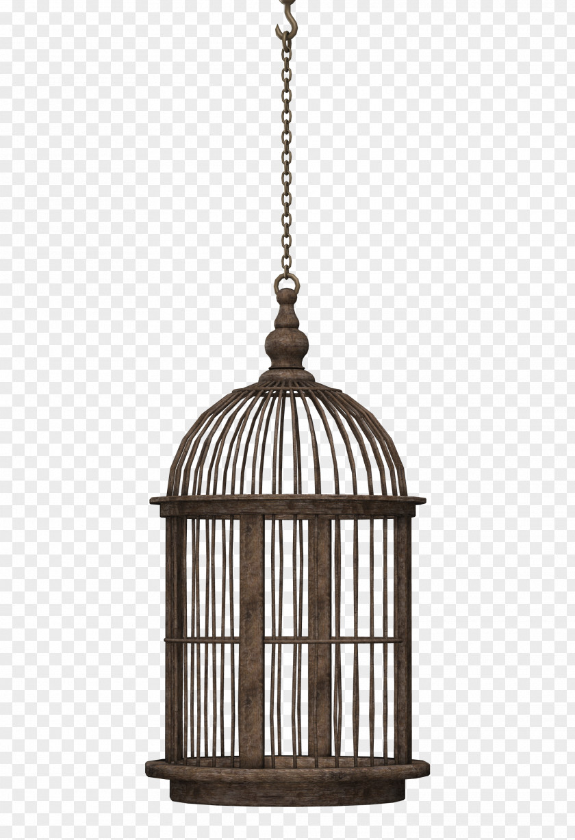 Bird Cage Birdcage Domestic Canary PNG