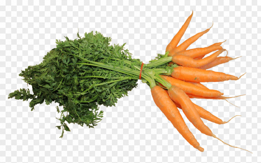 Carrot Picture Of Vegetables Clip Art Image PNG