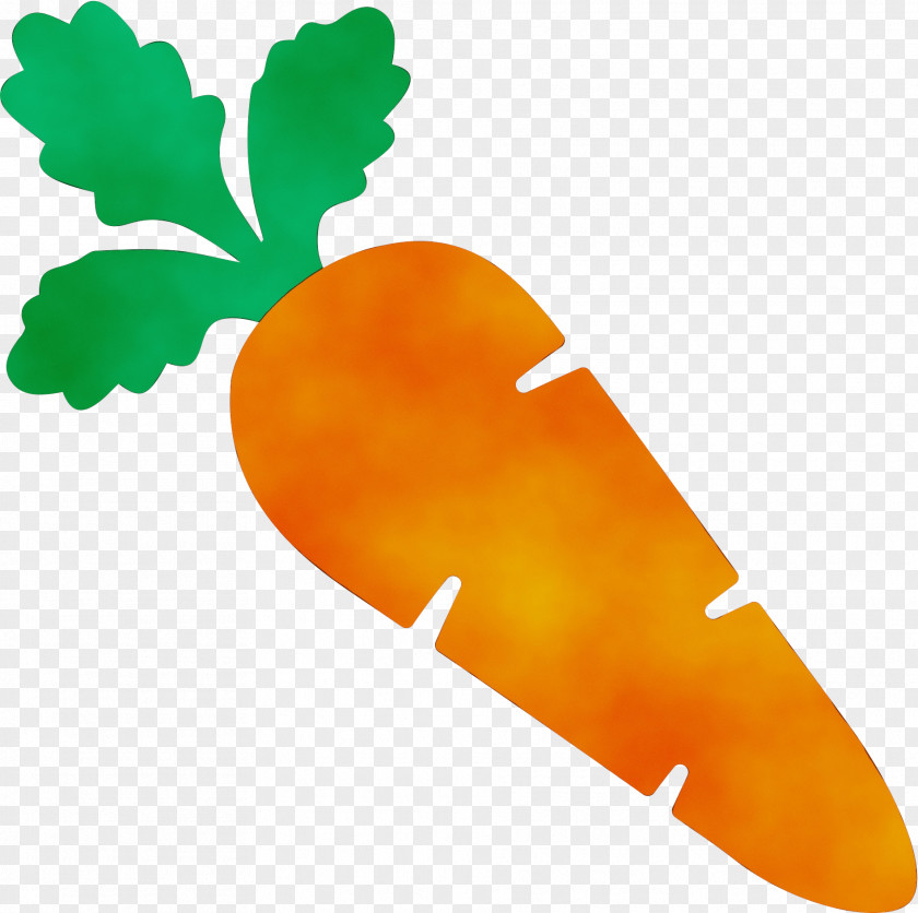 Food Vegetarian Watercolor Leaf PNG