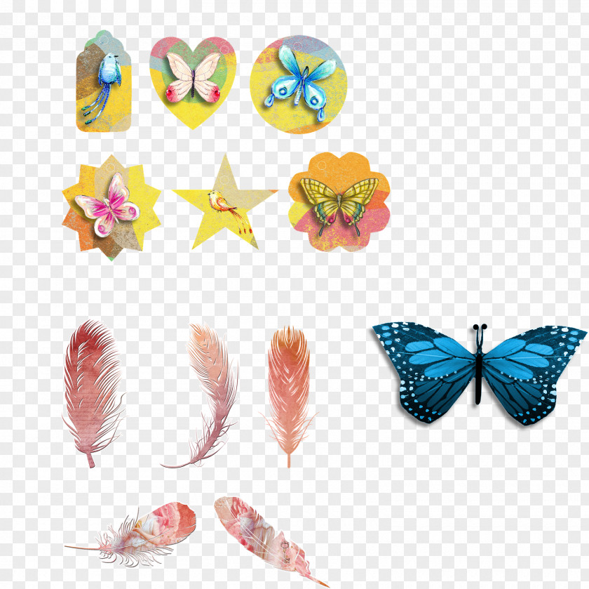 Group Creative Classic Design Feather Wings Butterfly Bird PNG