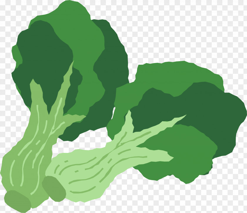 Hand Painted Green Broccoli Leaf Vegetable Food PNG