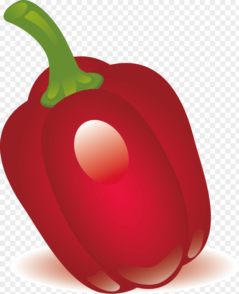 Pepper Vector Food Vegetable Illustration PNG