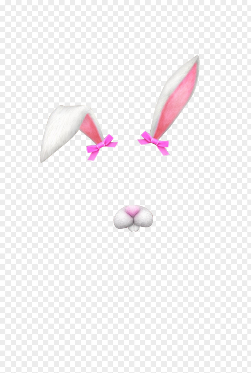 Unicorn Horn Hare Ear Rabbit Computer Software PNG