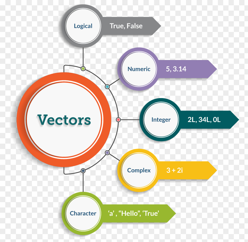 Variety Of Programming Languages Infographic Template Data Type Information PNG