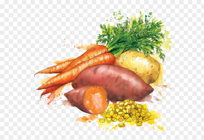 Vegetable Heinz Baby Food Watercolor Painting PNG