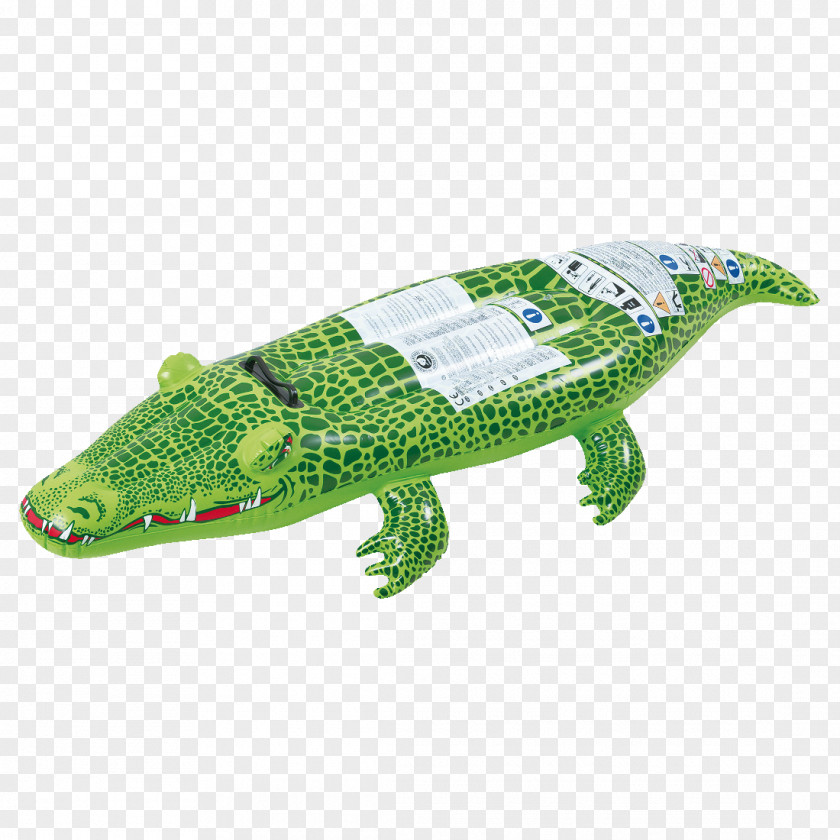 Crocodile Alligator Swimming Pool Inflatable Toy PNG