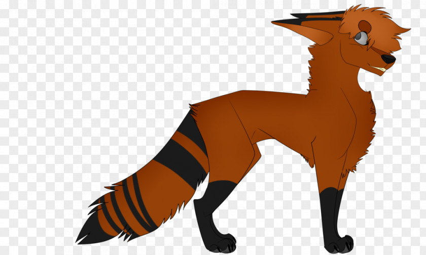 Drake Red Fox Dog Canidae Mammal PNG