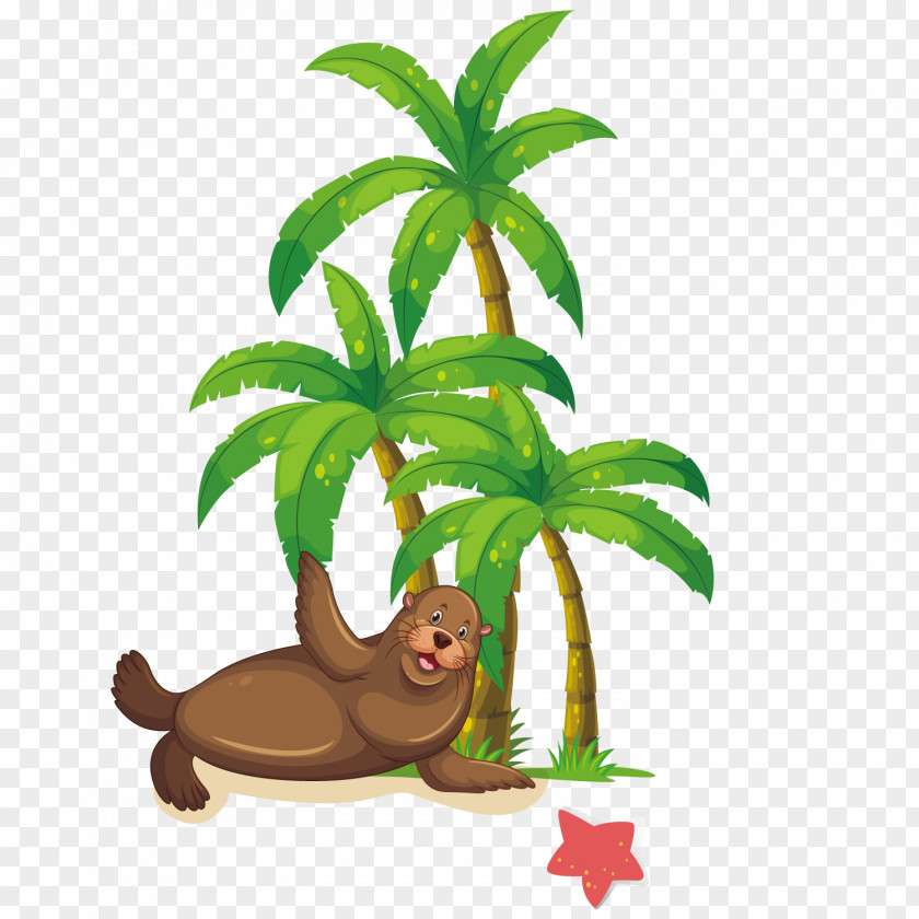 Vector Sea Lion Seals Coconut Arecaceae Animation Clip Art PNG