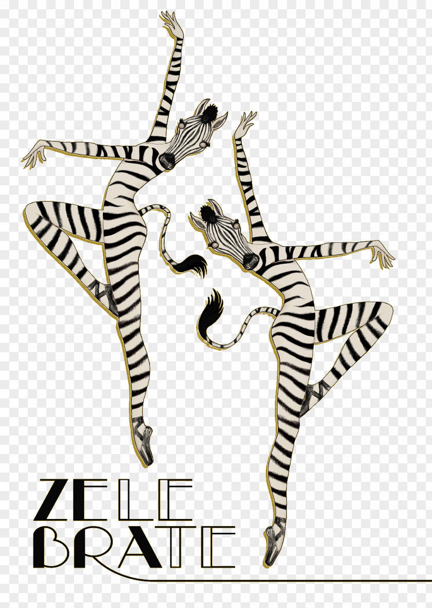 Wear Clothing Zebra Masked Figures Icon PNG