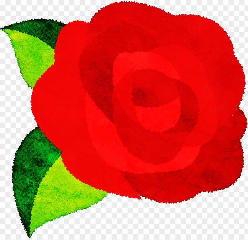 Garden Roses PNG