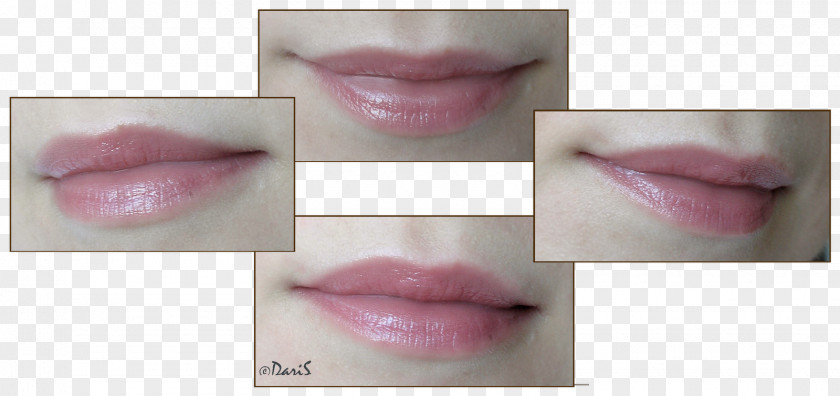 Lipstick Lip Gloss Pink M RTV PNG