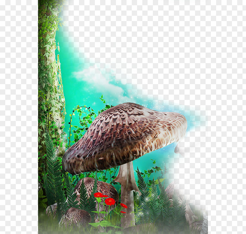 Cartoon Mushrooms Customs Broking Food Import Drink Mushroom PNG