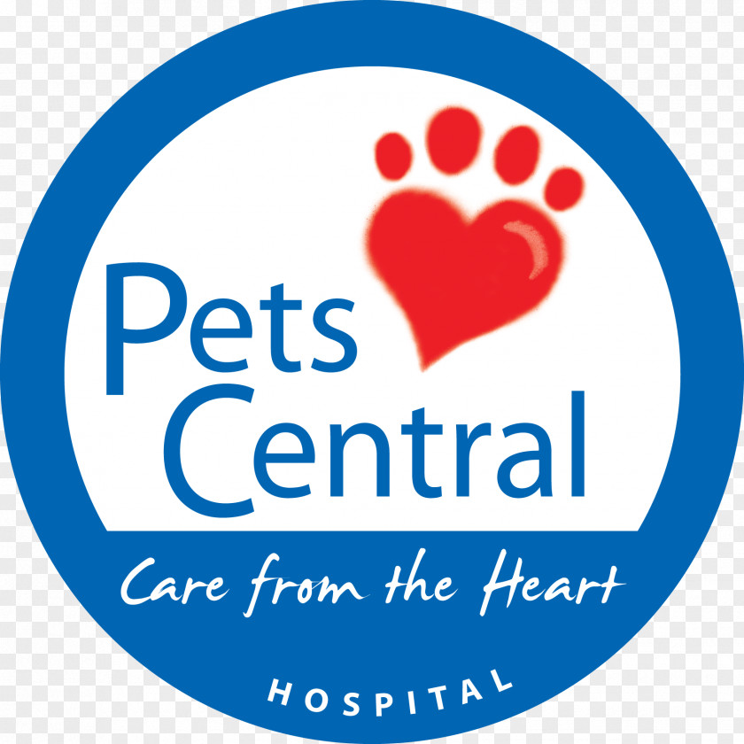 Cat Veterinarian Pet Dog PC Corporate Headquarters PNG