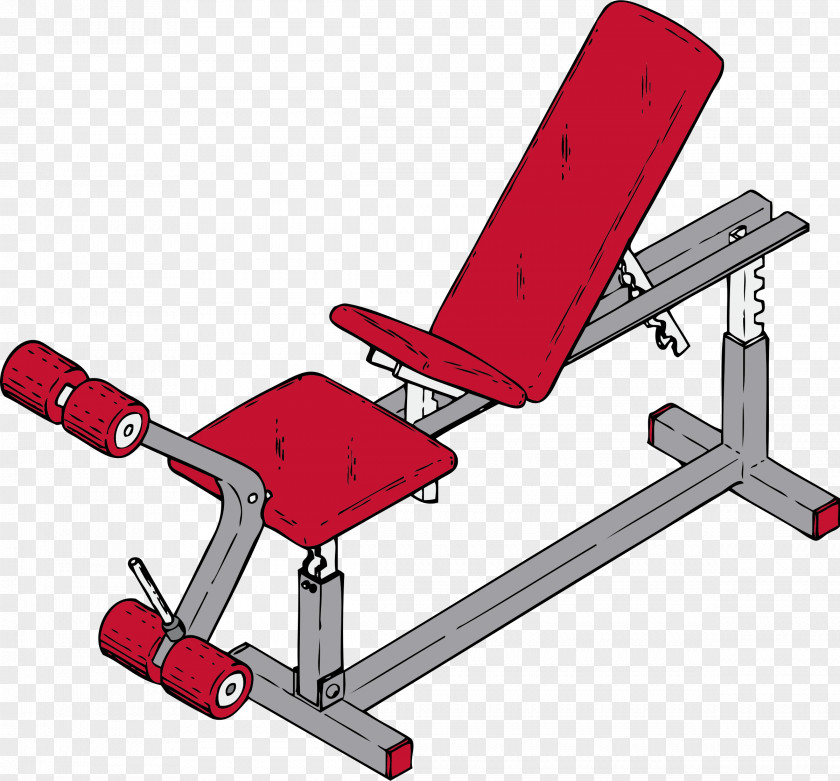 Exercise Equipment Physical Fitness Centre Clip Art PNG