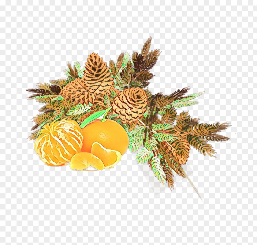 Food Pine Family Pineapple PNG