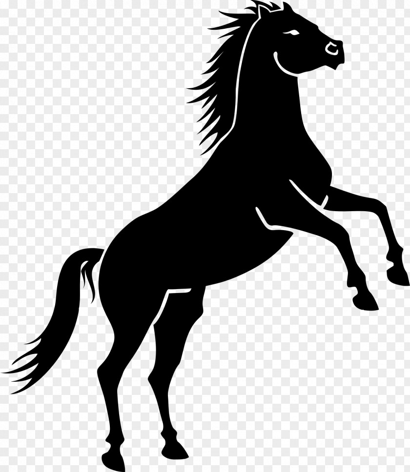 Horse Riding Mustang Rearing Clip Art PNG