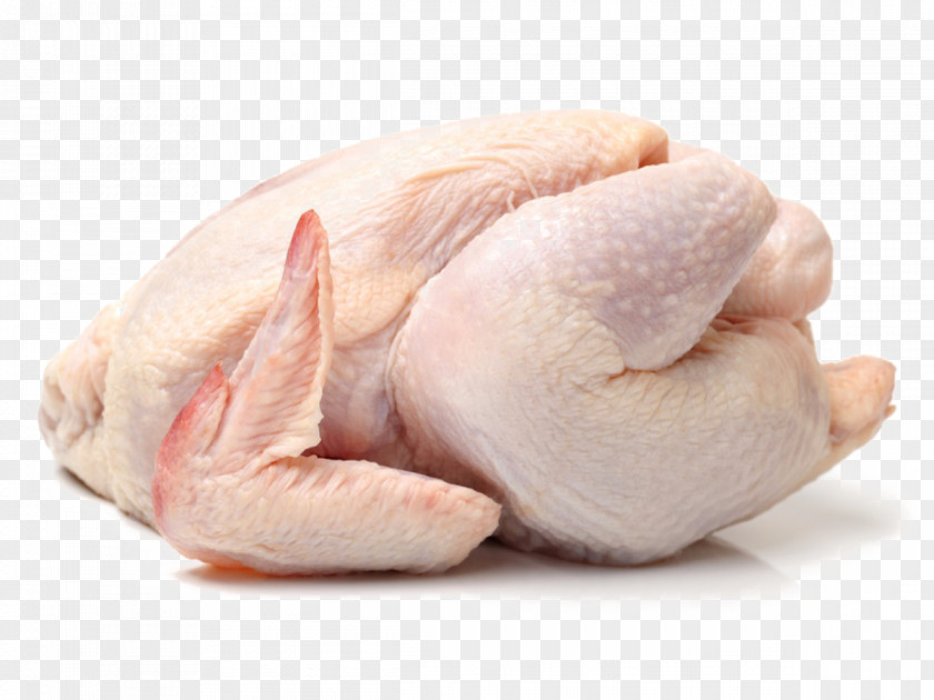 Meat Broiler Cornish Chicken As Food Poultry PNG