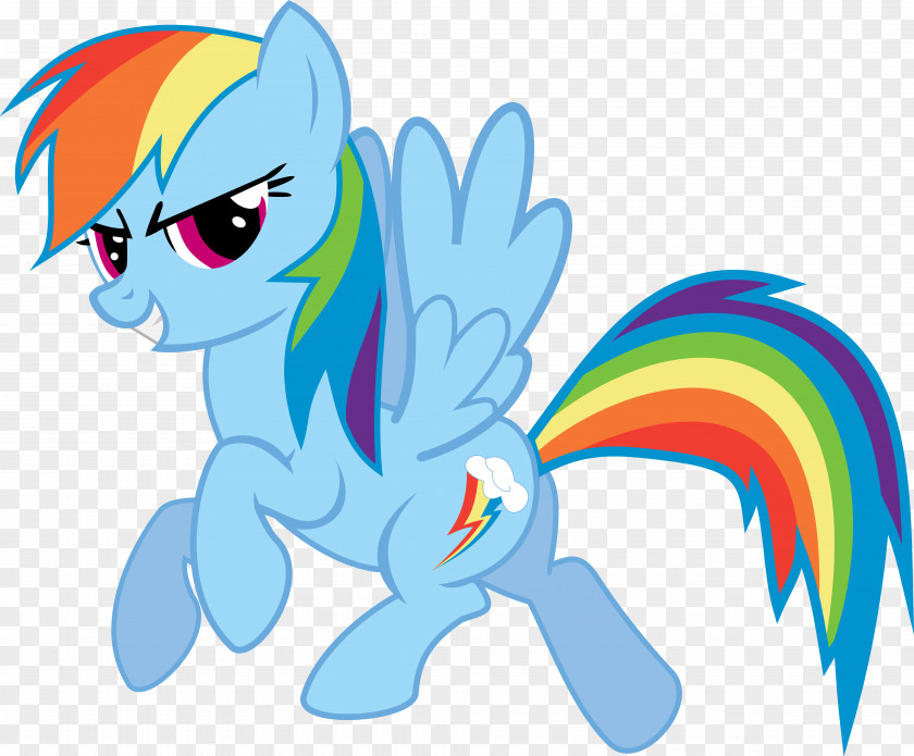 My Little Pony Rainbow Dash Rarity Pinkie Pie Applejack PNG