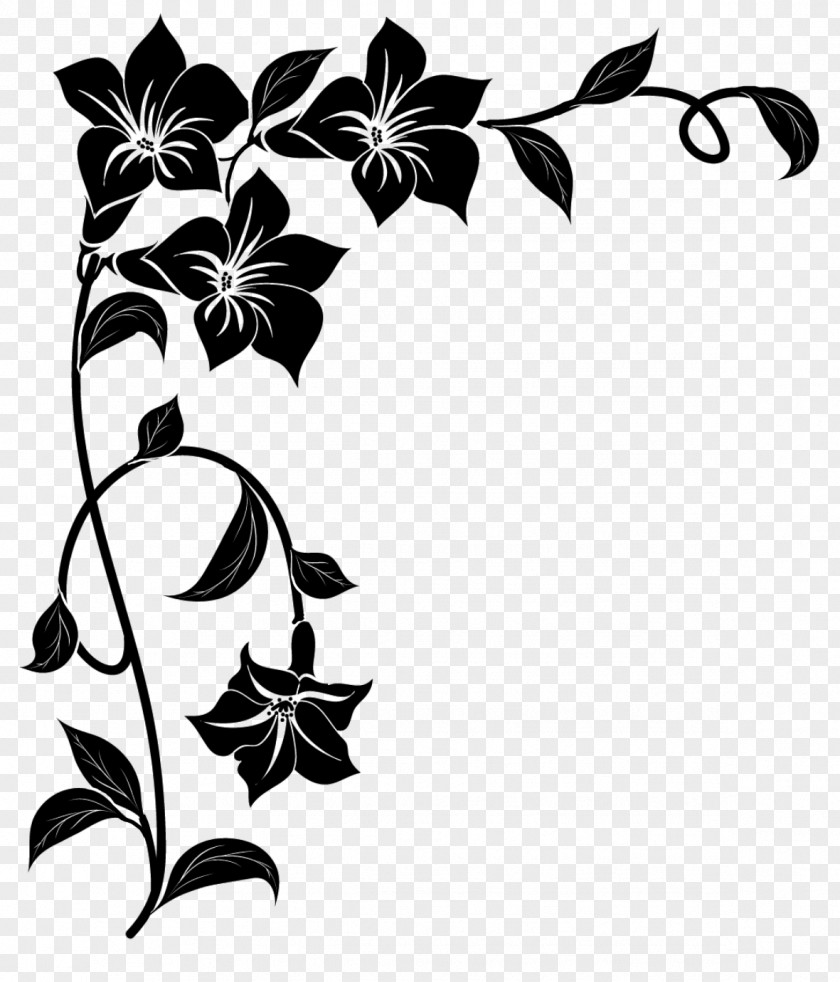 Picture Frames Black & White Photography Paintbrush PNG
