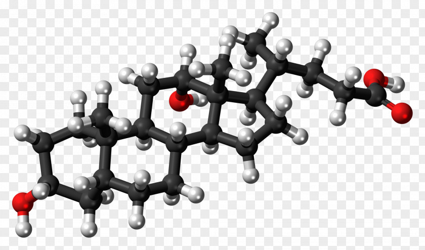 Progesterone Progestogen Steroid Hormone Replacement Therapy PNG