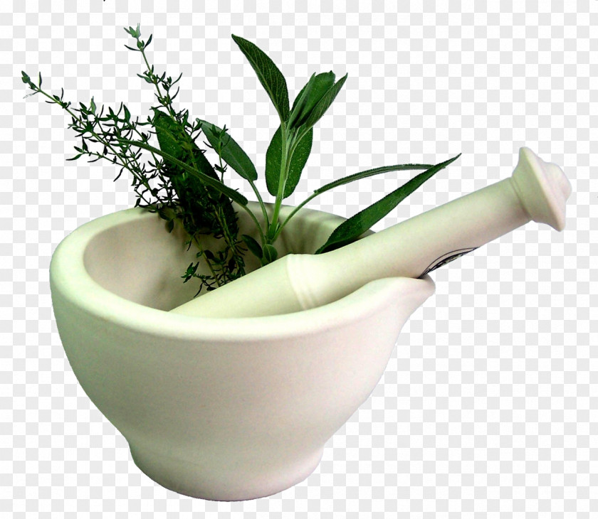 Stirred Herbs Herbalism Medicine Alternative Health Services Ayurveda PNG